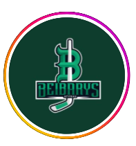 "Бейбарыс 17"