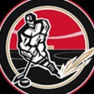 СШХ Шастина